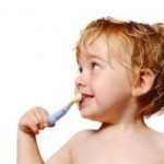 kid brush b462